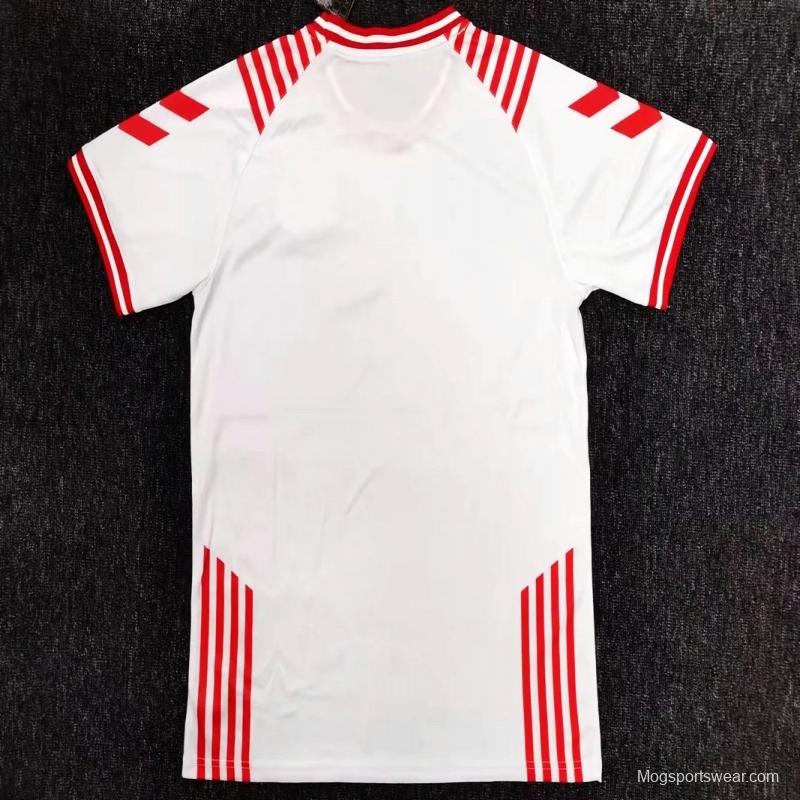 2022 Denmark White Limited Version